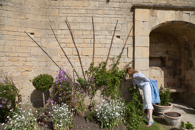 Bolsover Castle 2015 (31)